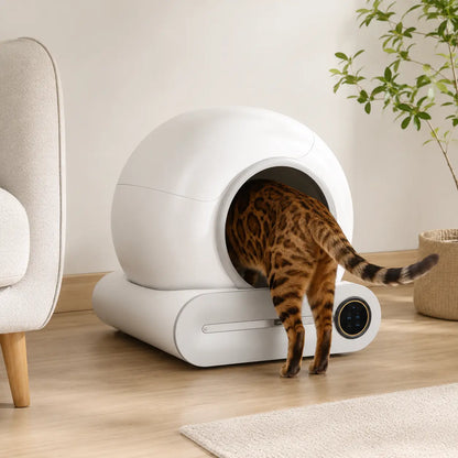 Bac à litière automatique autonettoyant pour chat — Feryn