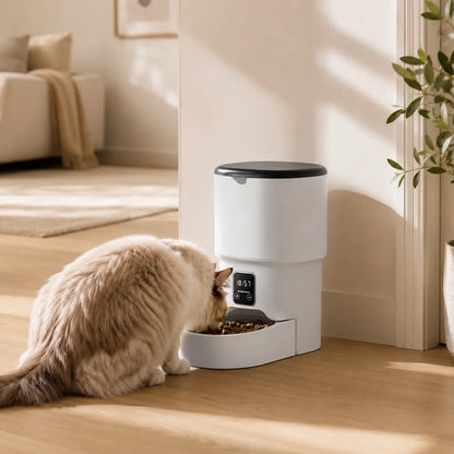Distributeur de croquettes automatique 4L pour chat — WiFi & anti-glouton | Feryn