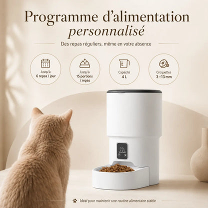Distributeur de croquettes automatique 4L pour chat — WiFi & anti-glouton | Feryn