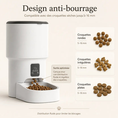 Distributeur de croquettes automatique 4L pour chat — WiFi & anti-glouton | Feryn