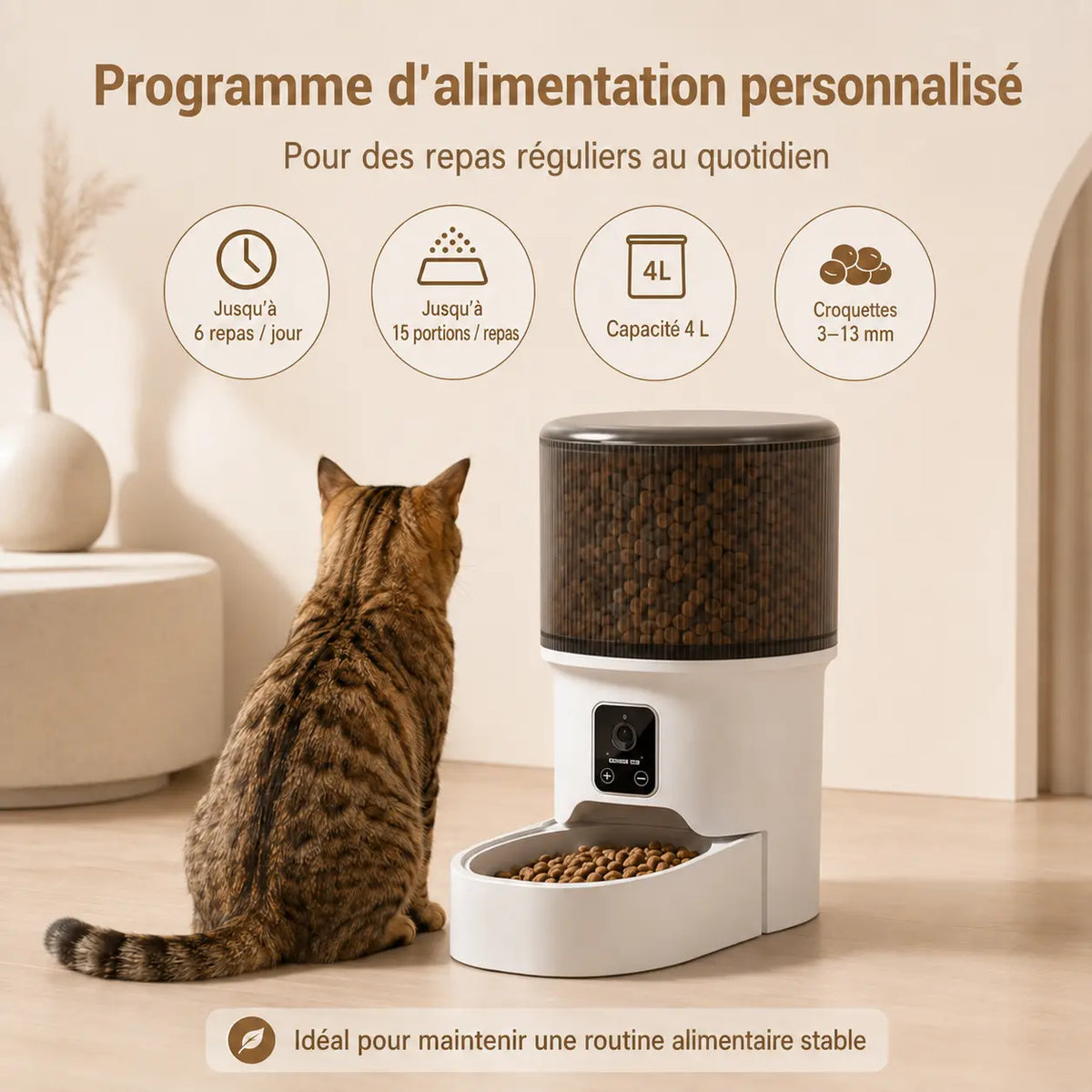 Distributeur de croquettes automatique 4L pour chat — bol inox, WiFi & caméra | Feryn