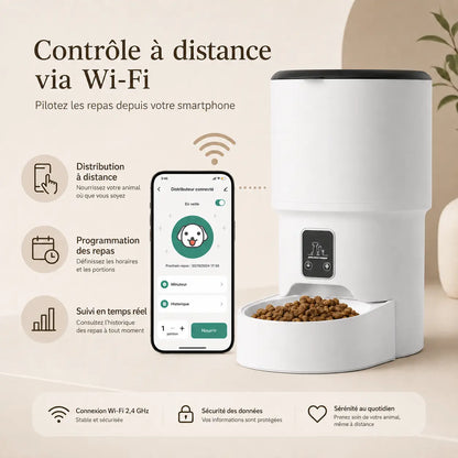 Distributeur de croquettes automatique 4L pour chat — WiFi & anti-glouton | Feryn