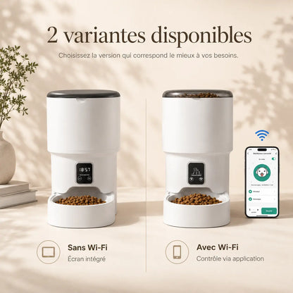 Distributeur de croquettes automatique 4L pour chat — WiFi & anti-glouton | Feryn
