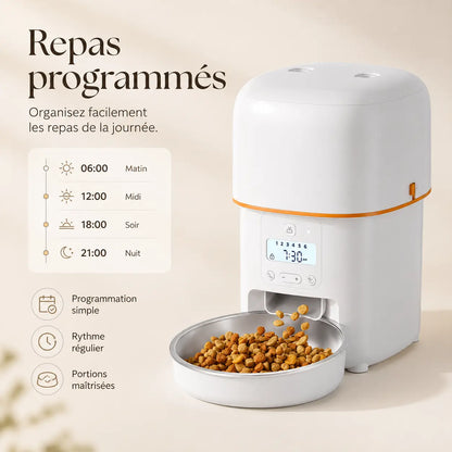 Distributeur de croquettes automatique 2L pour chat — WiFi | Feryn