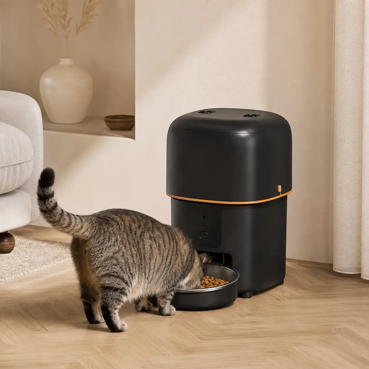 Distributeur de croquettes automatique 2L pour chat — WiFi | Feryn